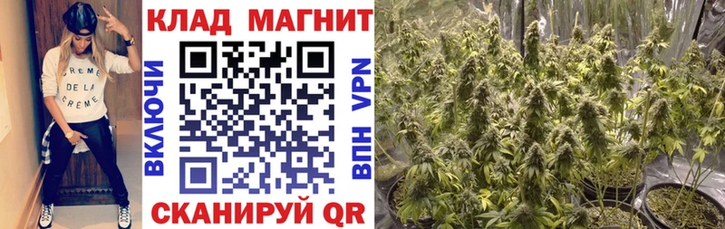 Где найти наркотики Оленегорск COCAIN  АМФ  Канабис  Alpha-PVP 