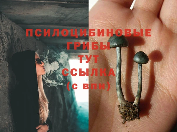 PSILOCYBIN Алексин