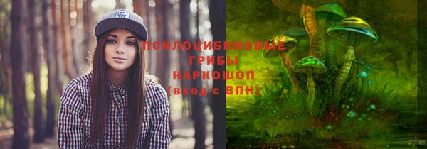 PSILOCYBIN Алексин