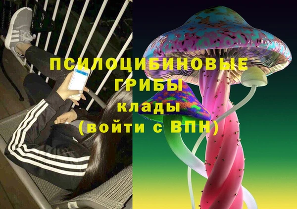 МДПВ Алексеевка
