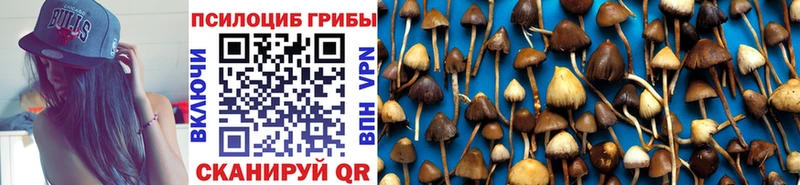 Псилоцибиновые грибы Psilocybe  Оленегорск 